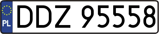DDZ95558