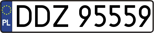 DDZ95559