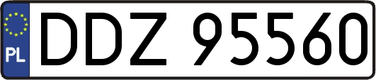DDZ95560