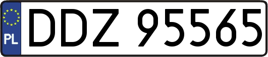 DDZ95565