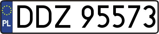 DDZ95573
