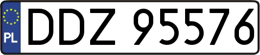 DDZ95576