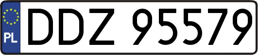 DDZ95579