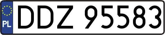 DDZ95583