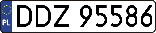 DDZ95586