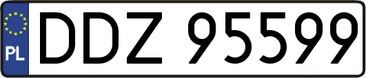 DDZ95599