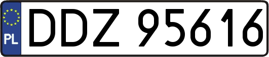 DDZ95616