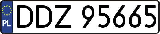 DDZ95665