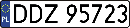 DDZ95723