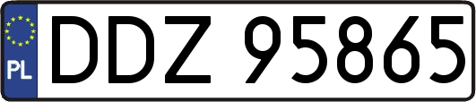 DDZ95865