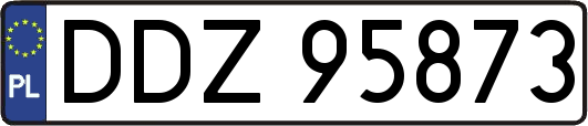 DDZ95873