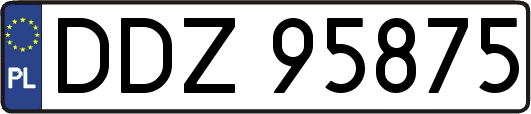 DDZ95875