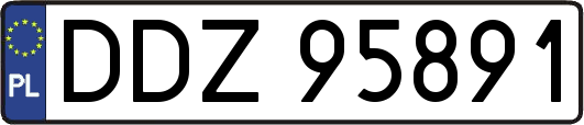 DDZ95891