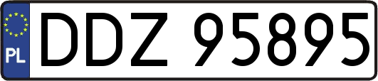 DDZ95895