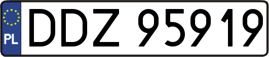 DDZ95919