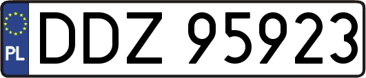 DDZ95923
