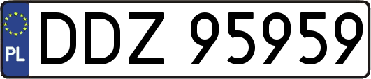 DDZ95959