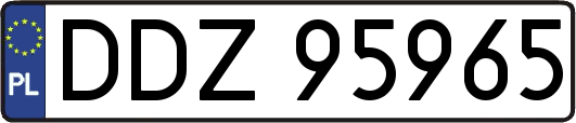 DDZ95965