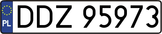 DDZ95973
