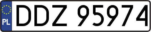 DDZ95974