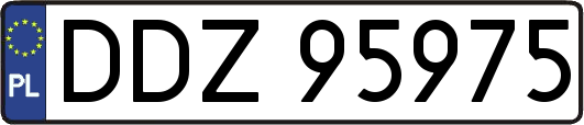 DDZ95975