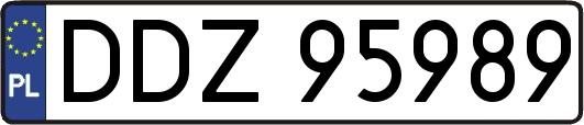 DDZ95989