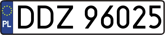 DDZ96025