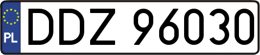 DDZ96030