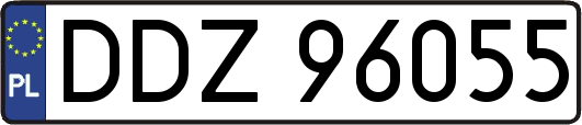 DDZ96055