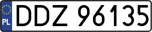 DDZ96135