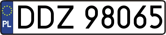 DDZ98065