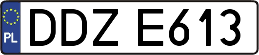DDZE613