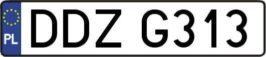 DDZG313