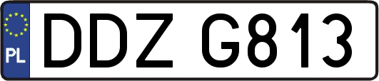 DDZG813