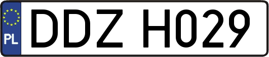 DDZH029
