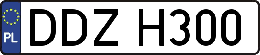 DDZH300