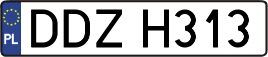 DDZH313