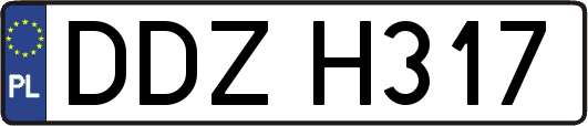 DDZH317