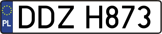 DDZH873