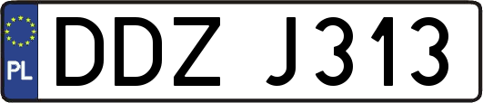 DDZJ313