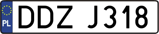 DDZJ318