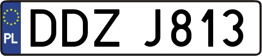 DDZJ813
