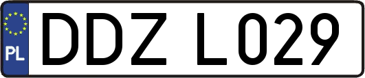DDZL029