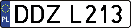 DDZL213