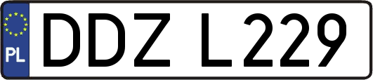 DDZL229
