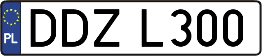 DDZL300