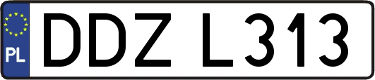 DDZL313