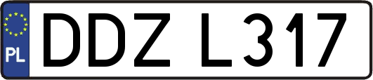 DDZL317
