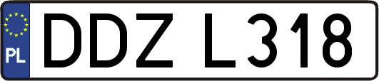 DDZL318