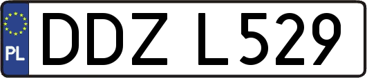 DDZL529